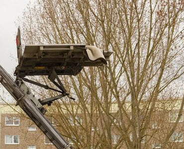 Möbellift in Kaiserslautern: Möbellift zwischen kahlen Bäumen vor einem Gebäude