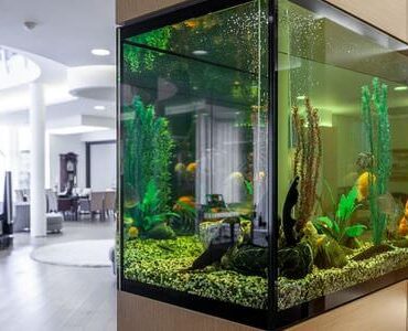 Aquarium-Umzug Kaiserslautern: Großes Aquarium in einem modernen Wohnzimmer