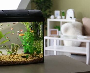 Kleines Aquarium auf einem Sideboard